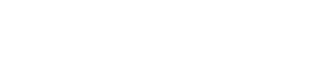 FIDELE GROUP HOLDINGS